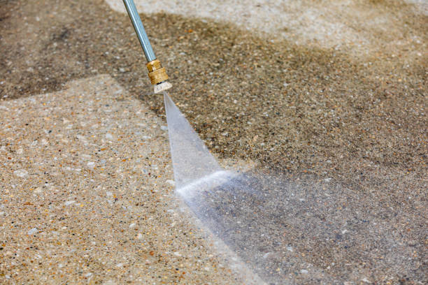Best Driveway Pressure Washing  in Mariposa, CA